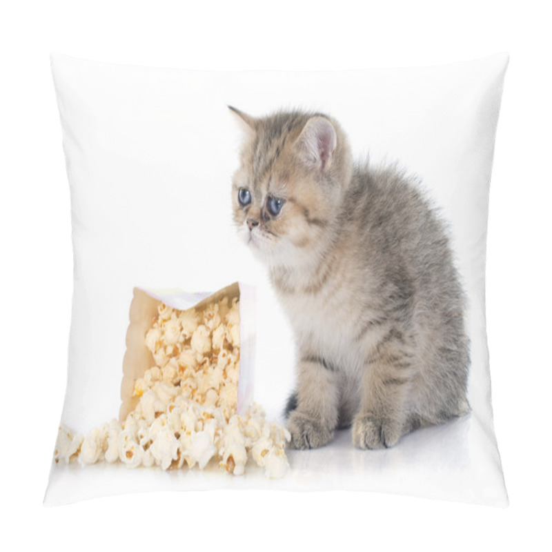 Personality  Persian Kitten Pillow Covers