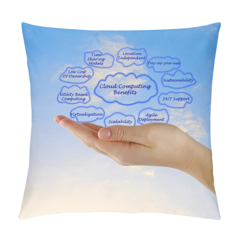 Personality  Cloud Computing Benefits Pillow Covers