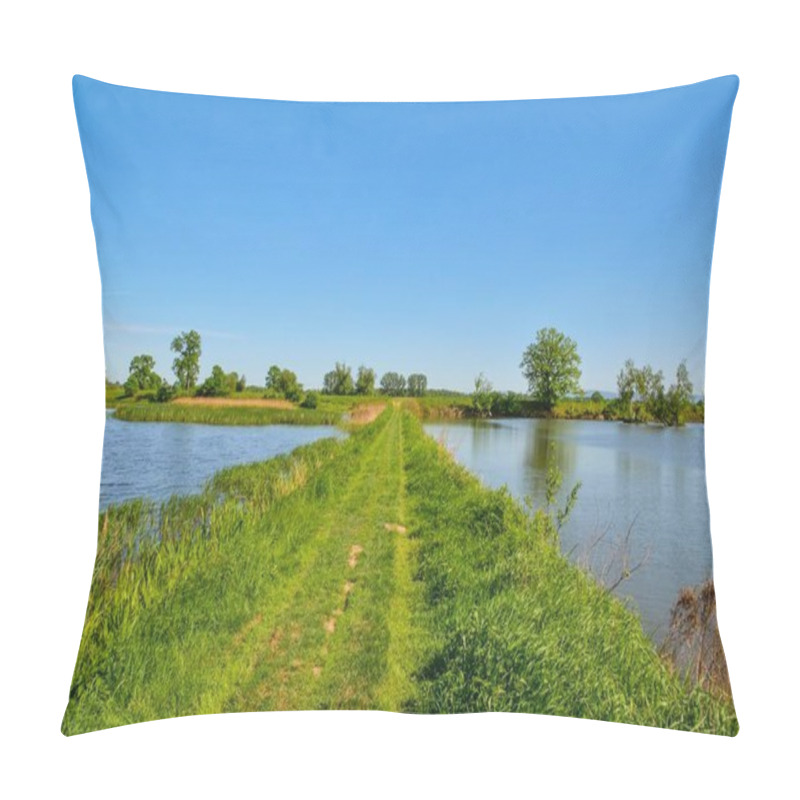 Personality  Beautiful Spring Landscape. Path On The Grass Between The Ponds In The Countryside. Pillow Covers