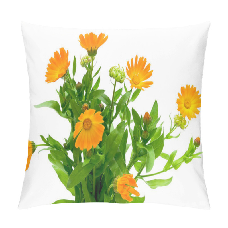 Personality  Marigold Flower On A White Background Pillow Covers