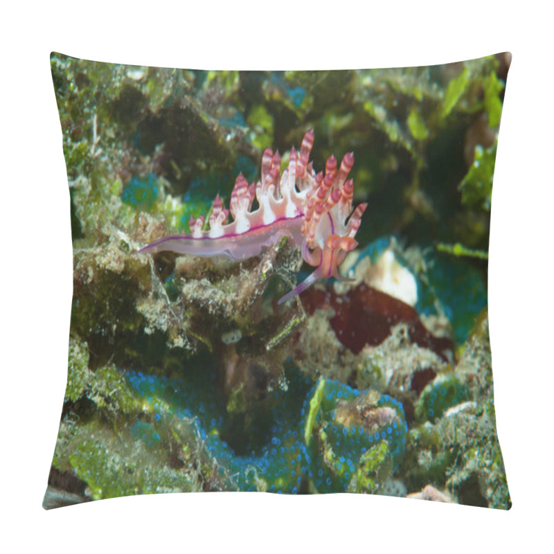 Personality  Ceratosoma Trilobatum Nudibranch Ambon Indonesia Pillow Covers