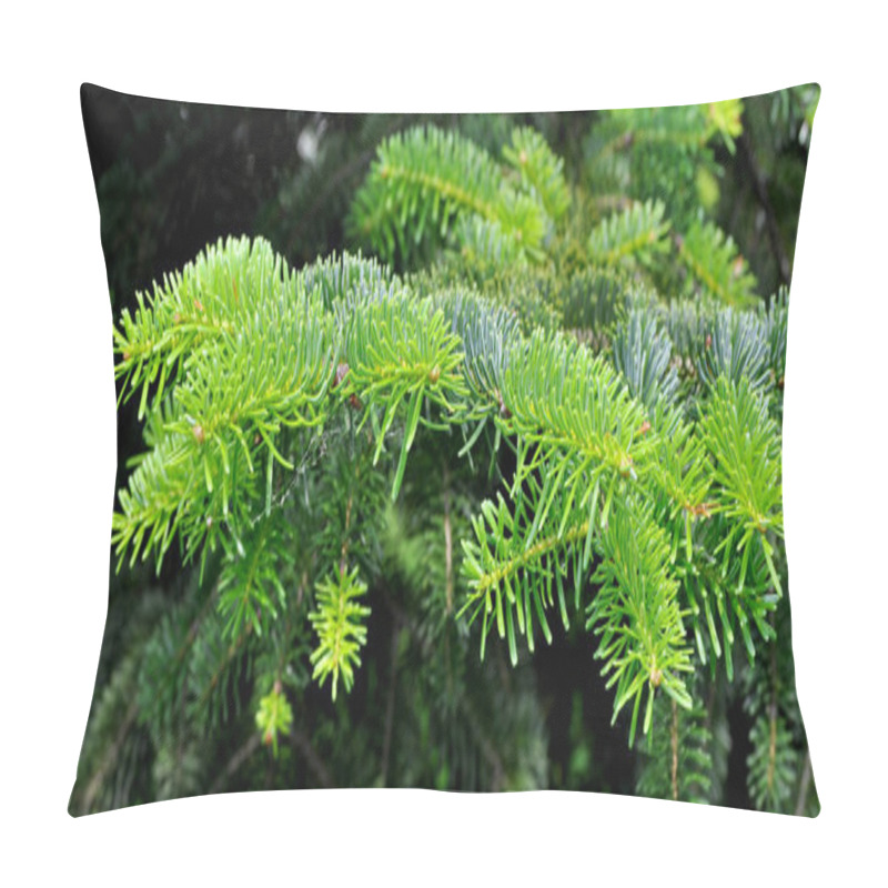 Personality  Needle Leaf Pine Tree In Its Natural Environment, Green Pine Tree In Nature Pillow Covers