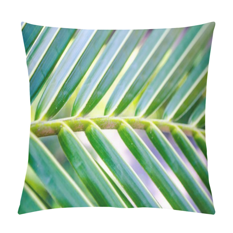 Personality  Creative Layout Of Green Leaf Of Tropical Palm Pillow Covers