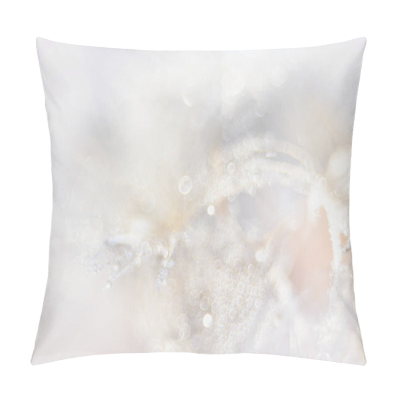 Personality  Beautiful Dew Drops On Dandelion Seeds,  Macro View  Pillow Covers