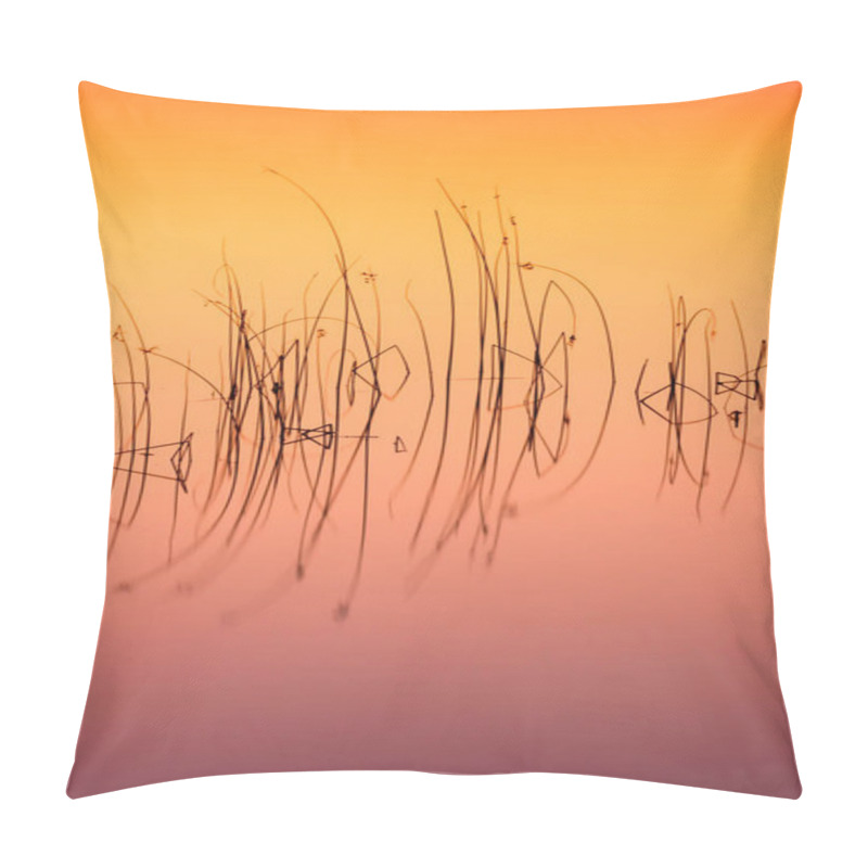 Personality  Colorful Nature. Abstract Water Nature Background. Plants And Reflections In The Water. Silhouette Of Plants.   Pillow Covers