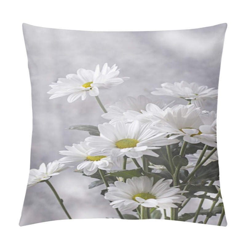 Personality  Large Flowers Of White Chamomile Levcantemella On A Light Background In The Sun Pillow Covers