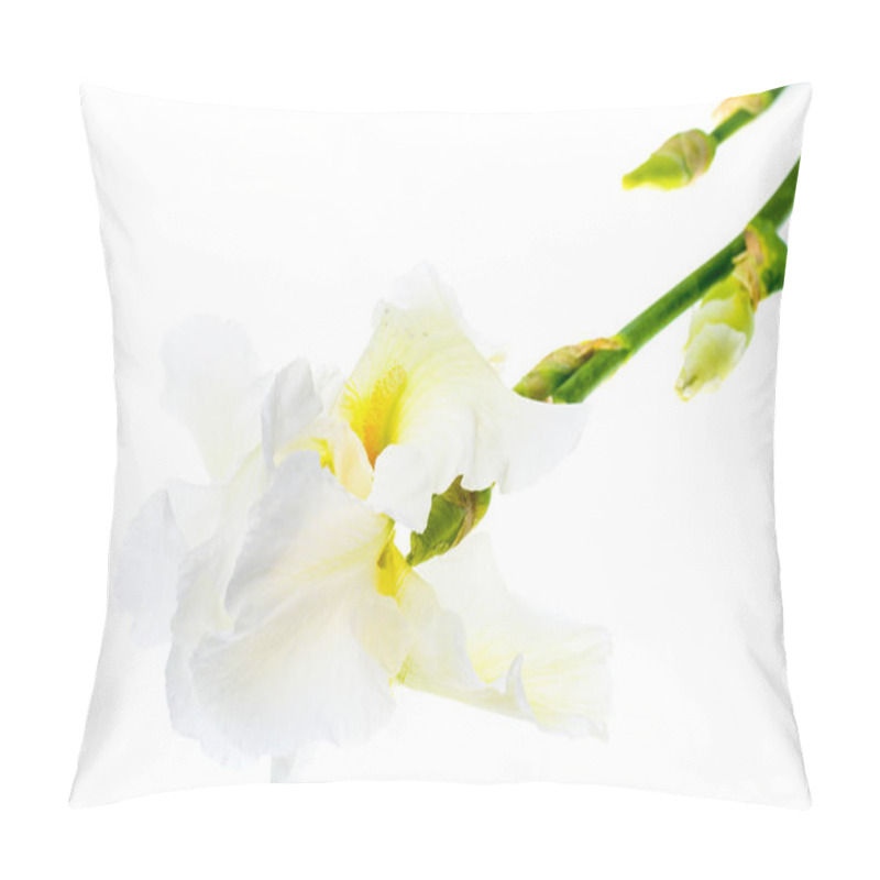 Personality  Summer Flowers Garden Irises On White Background. Pillow Covers