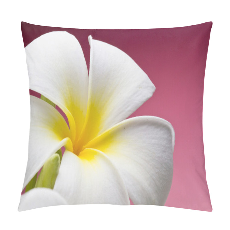 Personality  Fresh Frangipani Flower Pillow Covers