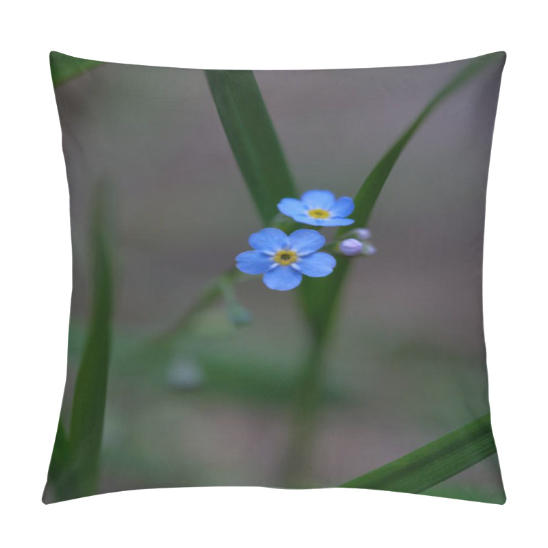 Personality  Pale Blue Flowers On A Blurred Background. Forget-me-not, Fragile Petals, Delicate Flowers. Pillow Covers