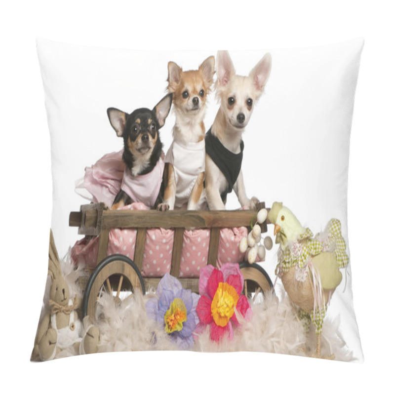 Personality  Three Chihuahuas, 1 Year Old, 8 Months Old, And 5 Months Old, Sitting In Dog Bed Wagon With Easter Stuffed Animals In Front Of White Background Pillow Covers