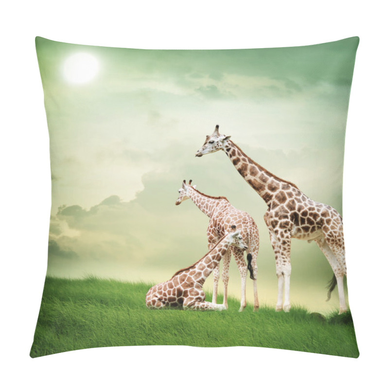 Personality  Giraffe Family Pillow Covers