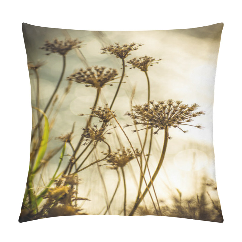 Personality  Wild Plants On The Blurred Background Pillow Covers