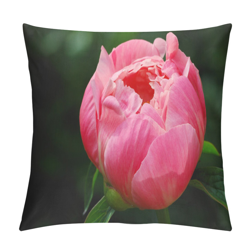 Personality  Päonie - Peony Pillow Covers