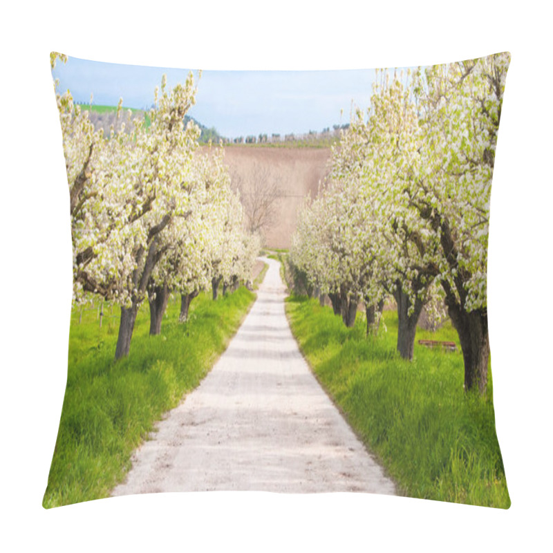 Personality  Spring Landscape With Blooming Trees And Flowers Pillow Covers