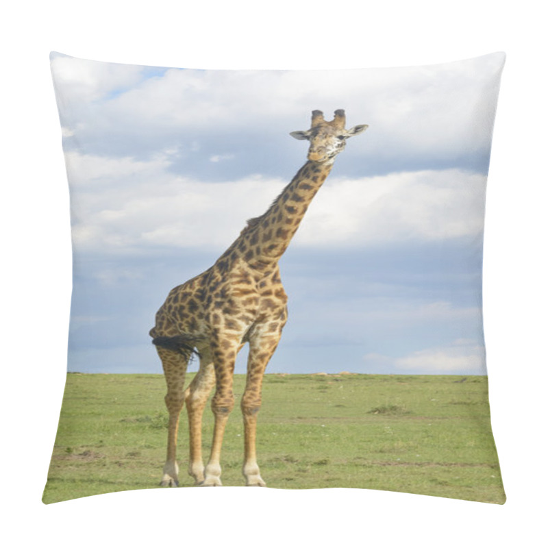 Personality  Giraffe Crossing Savanna  Pillow Covers