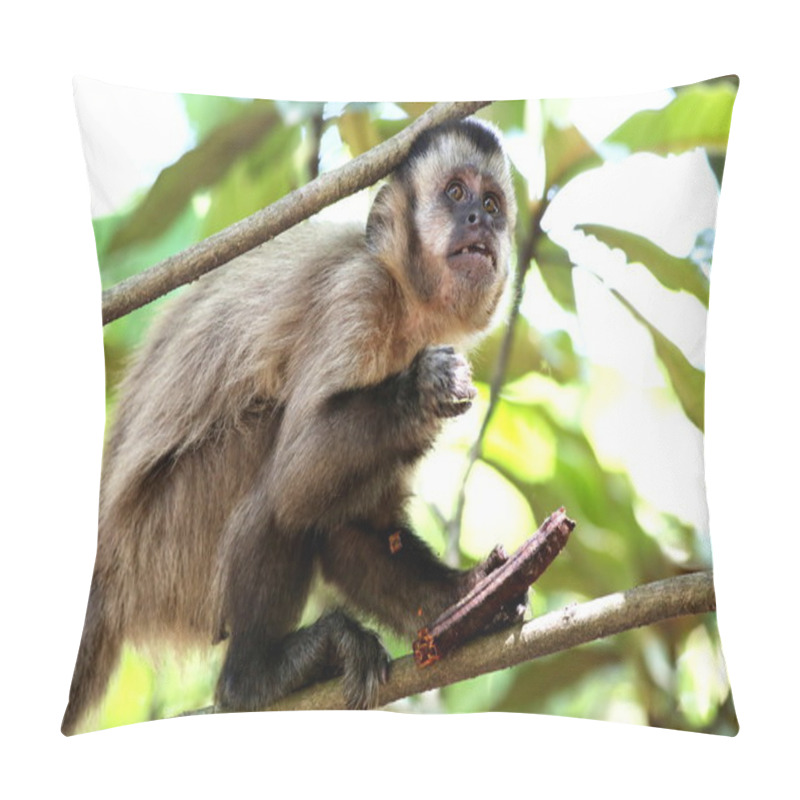 Personality  Monkey On The Branch Pillow Covers