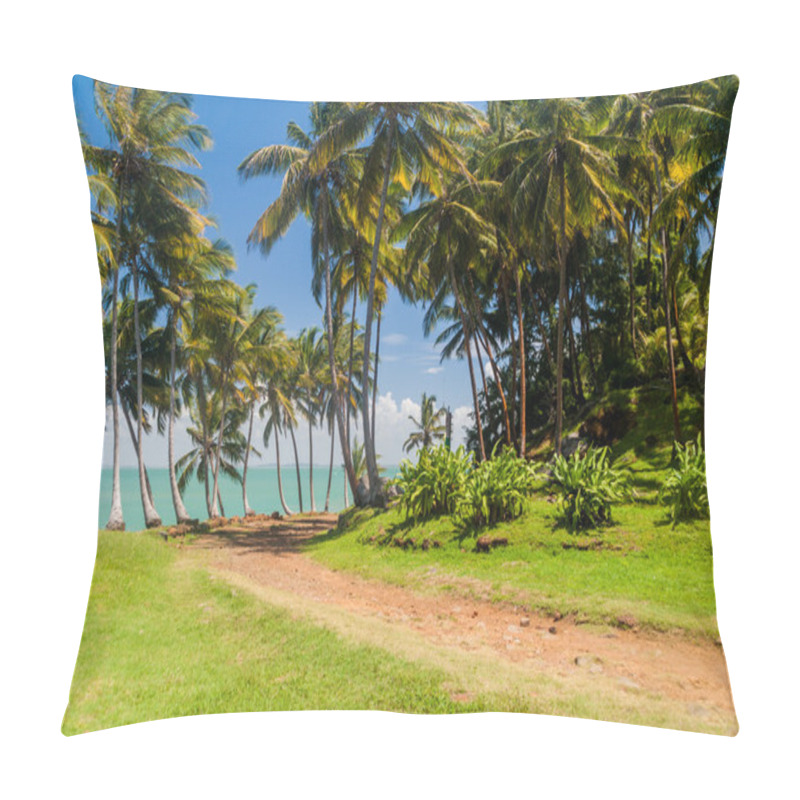 Personality  Road At Ile Royale Pillow Covers