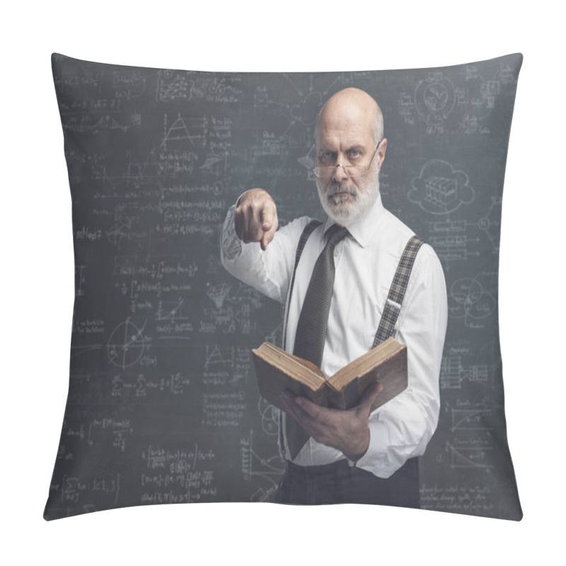 Personality  Senior Academic Professor Holding A Book And Pointing At Camera: Exams And Traditional Education Concept Pillow Covers