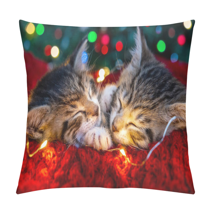 Personality  Christmas Cats. Two Cute Little Striped Kittens Sleeping On Festive Holiday Background. Kitty With Christmas Lights  Pillow Covers