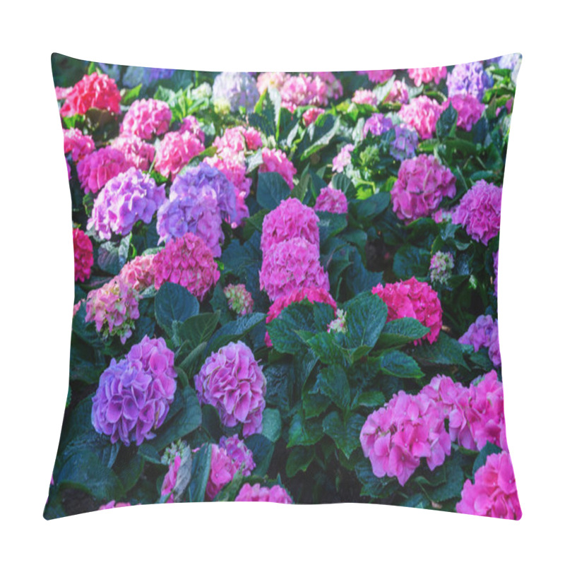 Personality  Blooming Hydrangeas Flowers In The Garden At Chiang Mai, Thailand. Hydrangea Flower Bush Pillow Covers