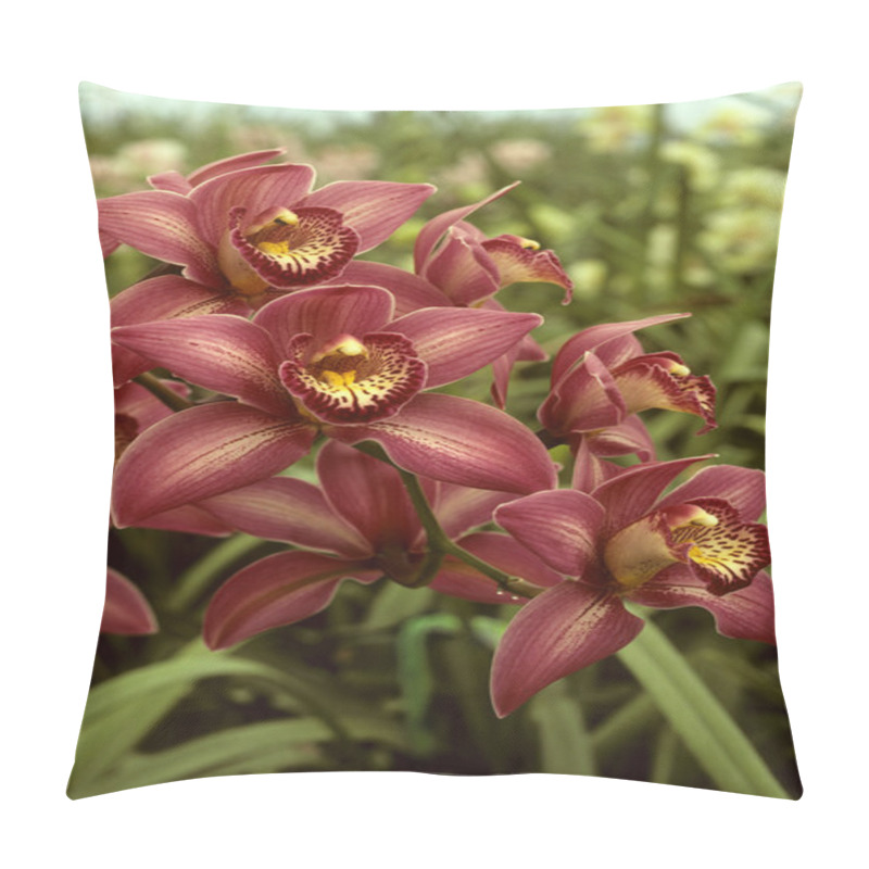 Personality  Dark Pink Orchids In A Green House Pillow Covers