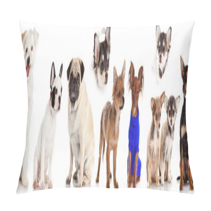 Personality  Group Of Dogs Pillow Covers