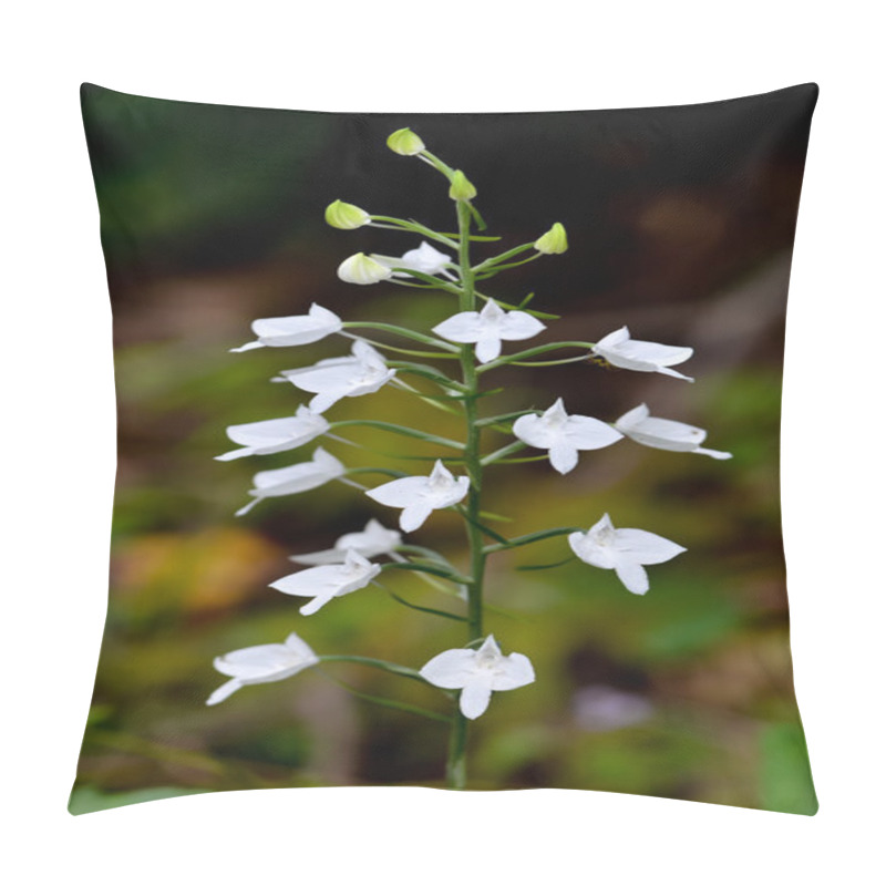 Personality  Herbenaria Lindleyana Pillow Covers