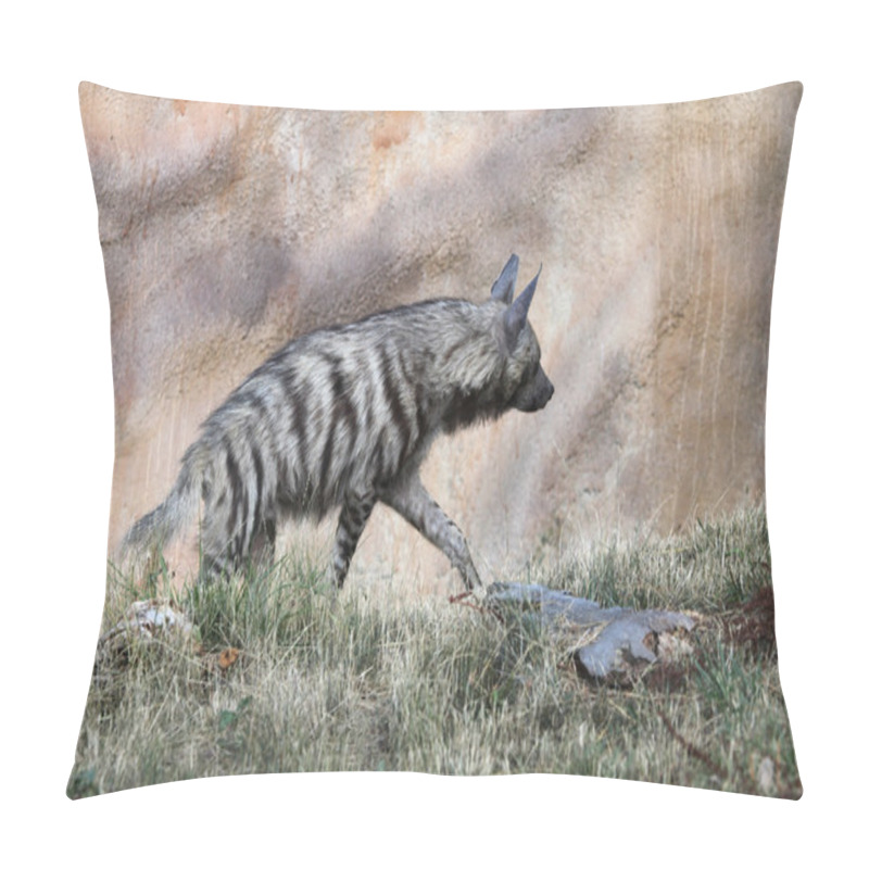 Personality  Striped Hyena Animal Pillow Covers