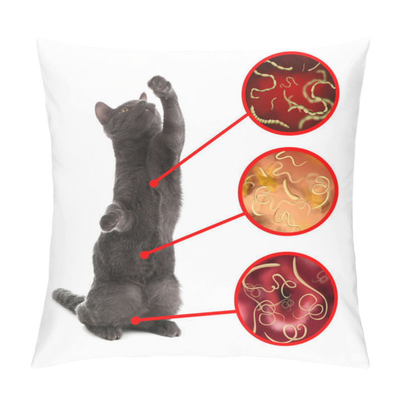 Personality  Cute Cat And Illustration Of Helminths Under Microscope On White Background. Parasites In Animal Pillow Covers