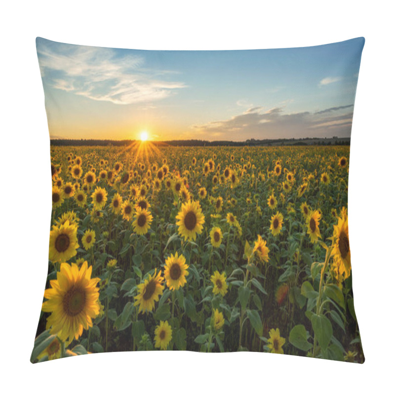 Personality  Beautiful Sunset Over Sunflower Field Pillow Covers