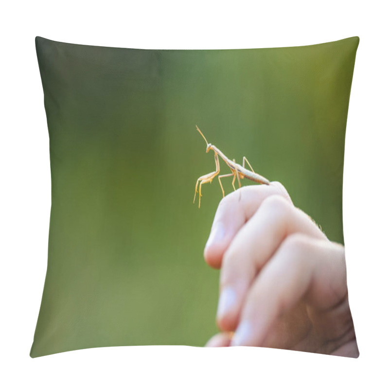 Personality  The European Mantis (Mantis Religiosa) On A Hand. Young Animal, A Nymph. Nice Bokeh Green Background. Pillow Covers