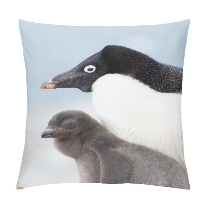 Personality  Penguin Family Pillow Covers