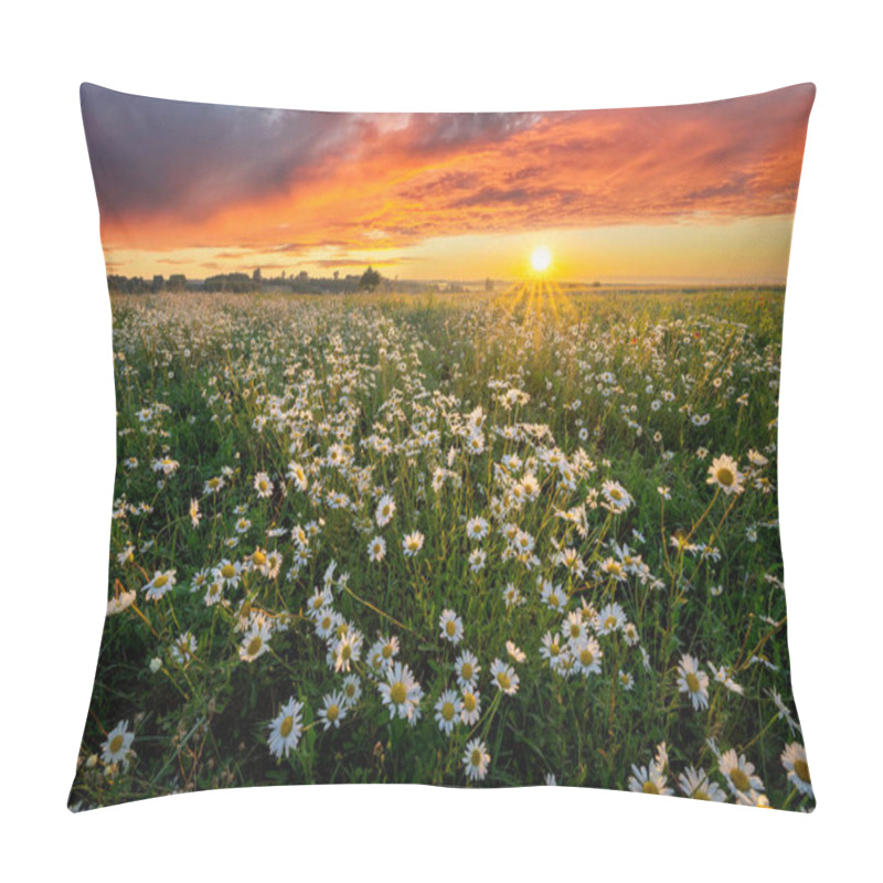 Personality  Beautiful Summer Sunrise Over Wild Flowers Meadow Pillow Covers