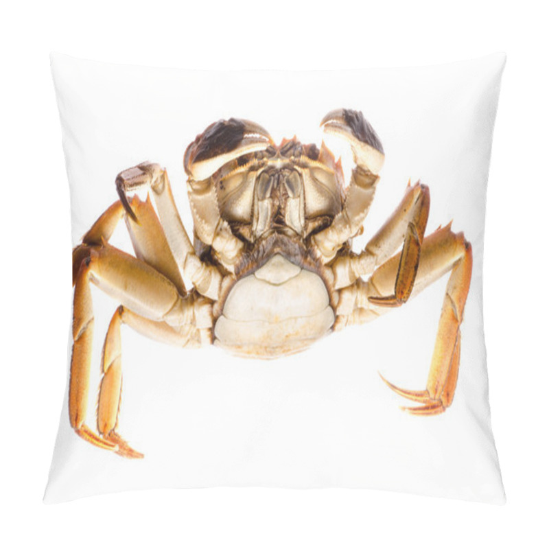 Personality  Red Crab Pillow Covers