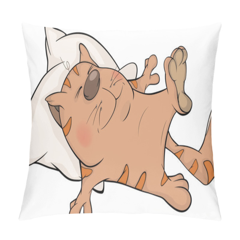 Personality  Cat And A Pillow. Cartoon Pillow Covers