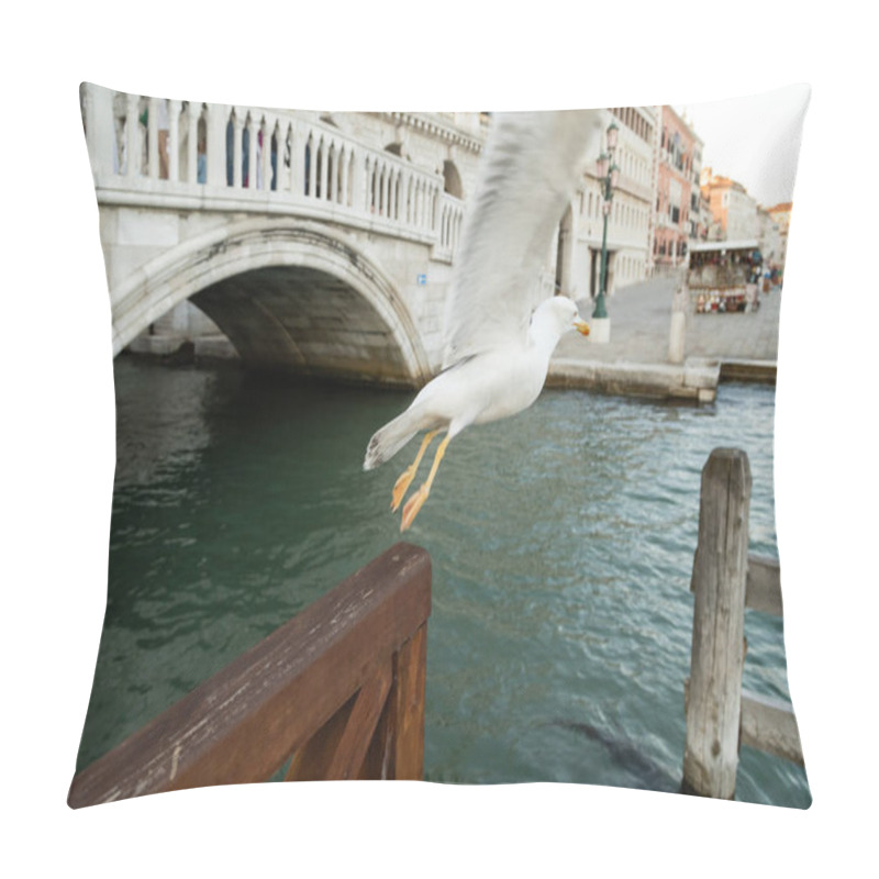 Personality  Blurred Seagull Flying Over Lagoon In Venice Pillow Covers