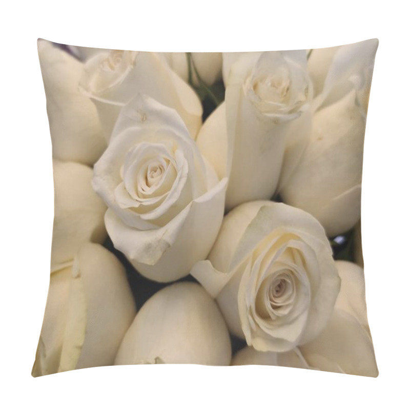 Personality  The White Roses Background For Valentine's Day  Or Mother Day Or Woman Day Post Card Or Invitation. Aroma Therapy Cosmetic Background. Beaty Salon  Or Perfume Cover Backdrop. Pillow Covers