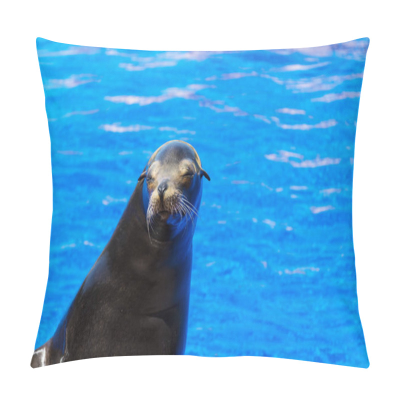 Personality  Sea Lion  In A Blue Water Pillow Covers