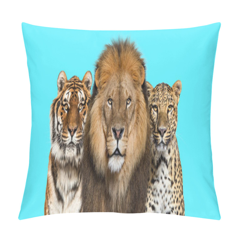 Personality  Lion, Tiger And Spotted Leopard, Together On A Blue Background Pillow Covers