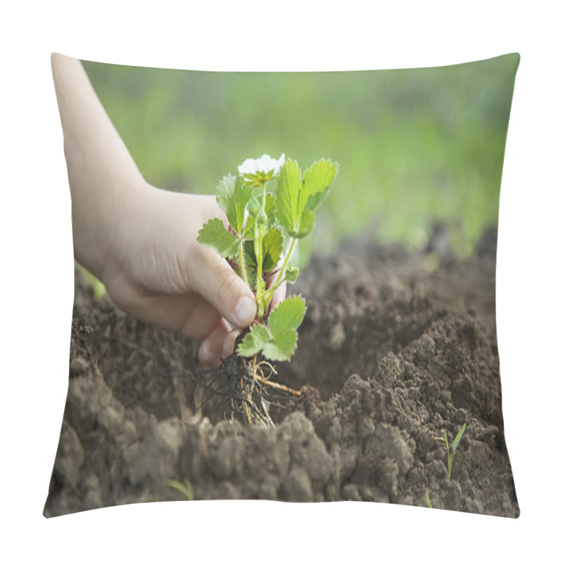 Personality  Green Sprout And Children Hands Pillow Covers