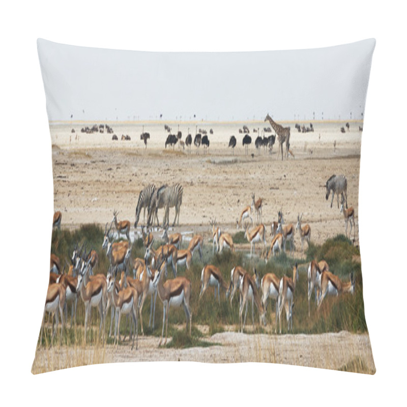 Personality  African Animals Close To A Waterhole Pillow Covers