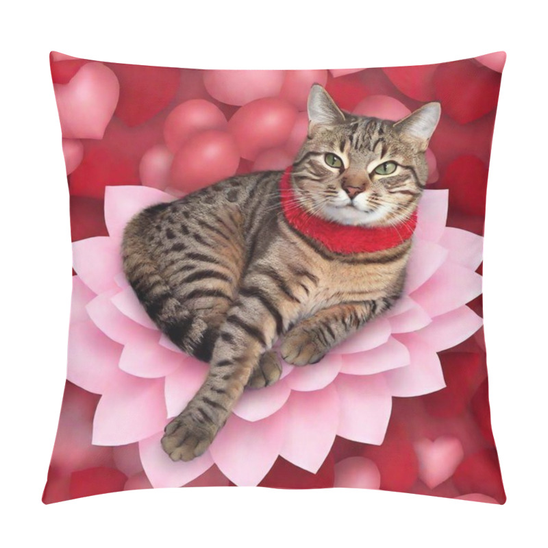 Personality  Cute Cat Lying With Hearts And Flowers. Valentine 's Day Concept Pillow Covers