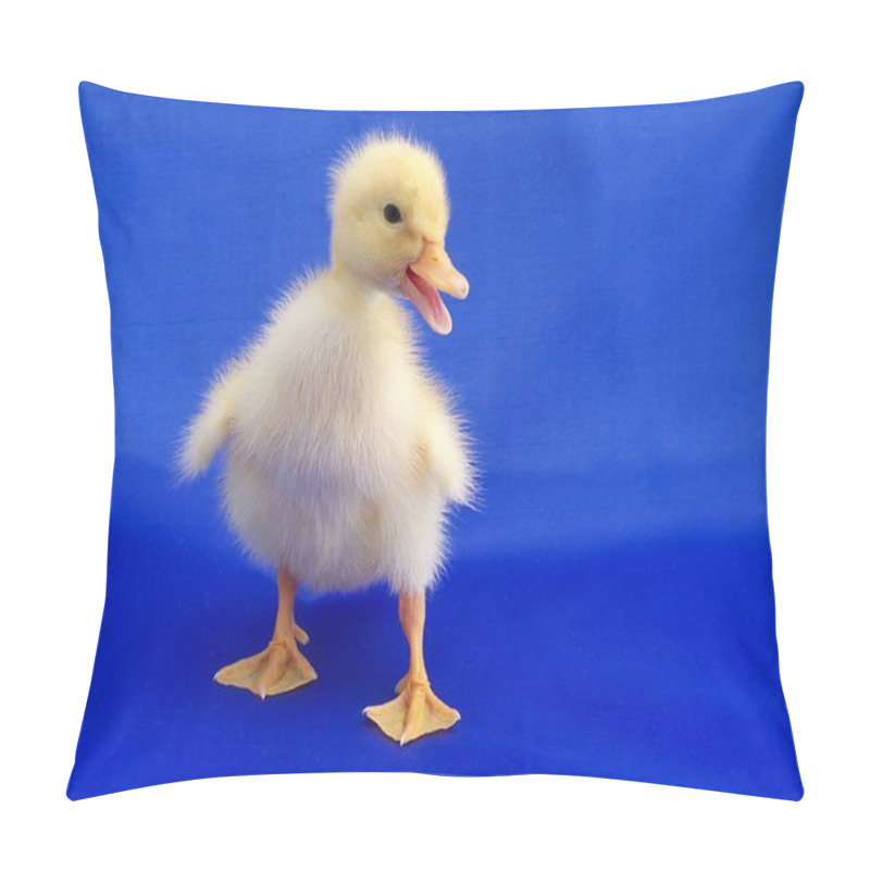 Personality  Newly Hatched Ducks Cute Kids Pillow Covers