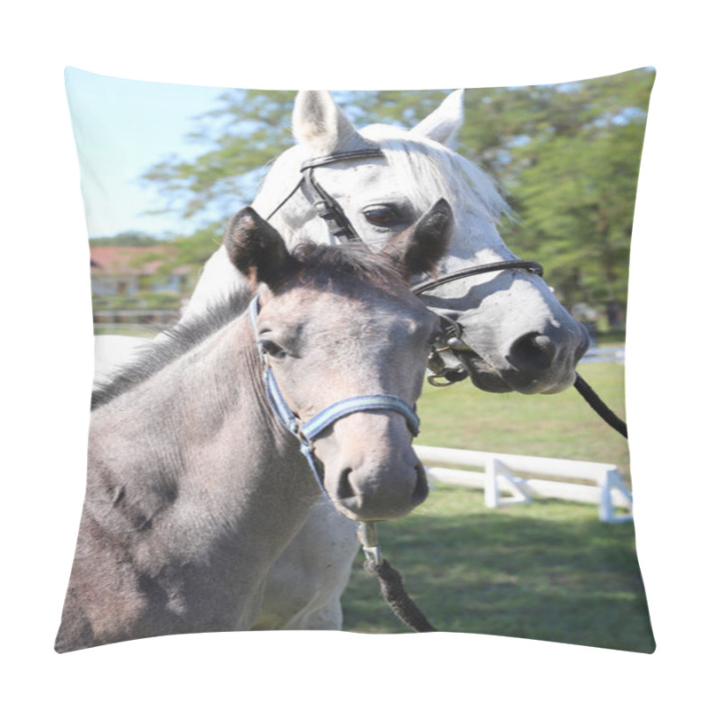 Personality  Young Mare And His Foal Show Off Their Skills On A Beautiful Summer Day, Equestrian Atmosphere Pillow Covers