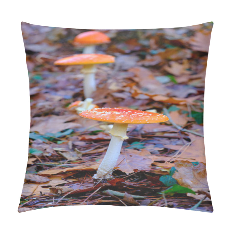 Personality  Close-up Of Two Amanita Muscaria Or Fly Agaric Mushrooms With Orange Caps And White Spots, Growing Among Fallen Leaves In An Oak Forest In Ucieda, Cabuerniga Valley, Cantabria, Spain. Pillow Covers