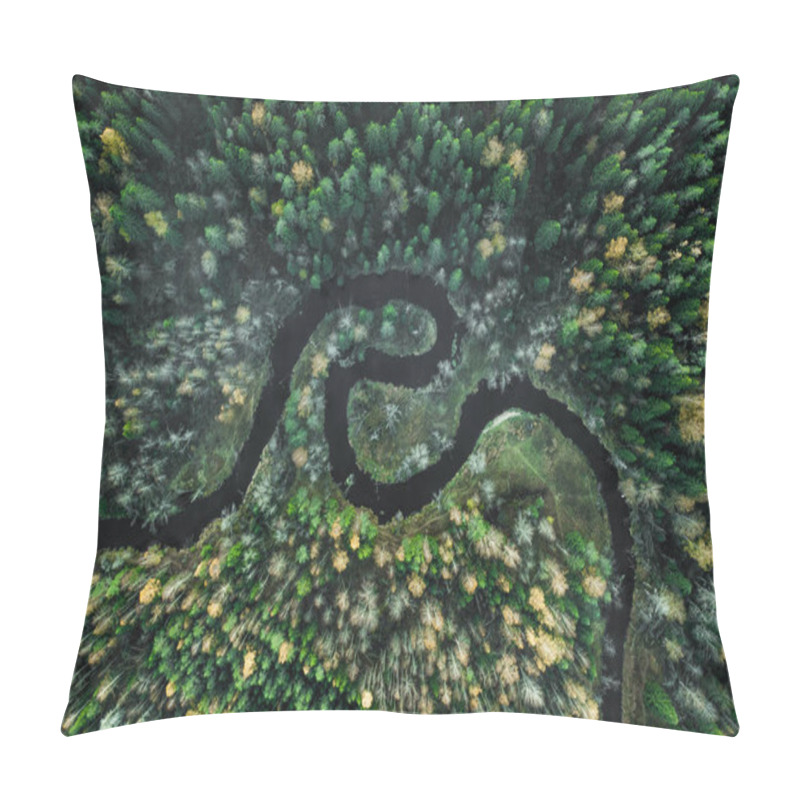 Personality  Forest With A Winding River At Sunset. Aerial Photography With A Drone. Pillow Covers