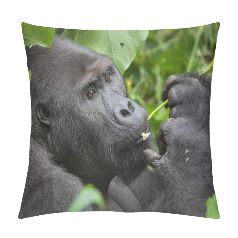 Personality  Gorilla In Wilderness Democratic Republic Of Congo  Pillow Covers