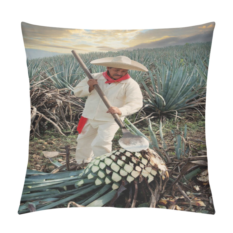 Personality  Man With Typical Clothes And Hat Working In The Field With Sunset Clouds In The Agave Cut To Make Tequila. Pillow Covers