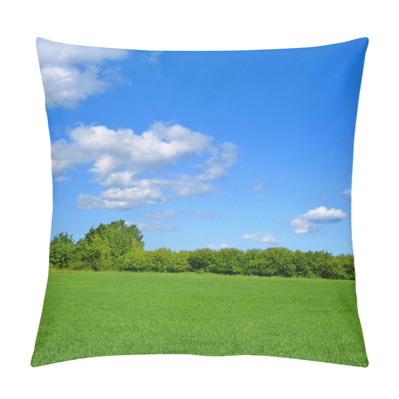 Personality  Idyllic Summer Landscape Pillow Covers