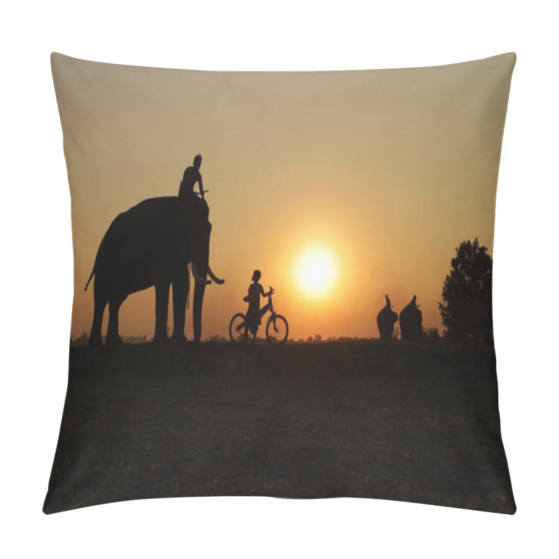 Personality  Thai People Father And Son With Elephant Silhouette Sunset Pillow Covers